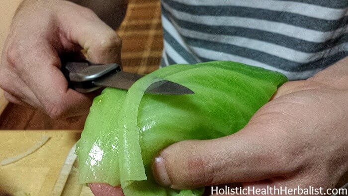 trimming the thick veins of the cabbage leaves