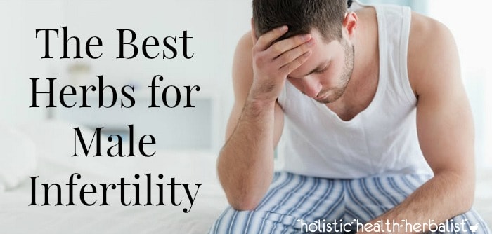 herbs for male infertility