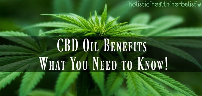 CBD Oil Benefits – What You Need to Know! - Holistic Health Herbalist