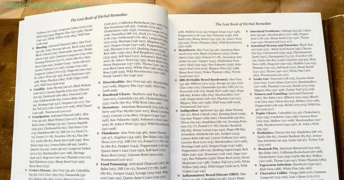 the lost book of herbal remedies review - table of contents