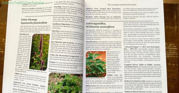 the lost book of herbal remedies review