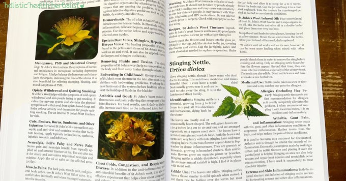 the lost book of herbal remedies review